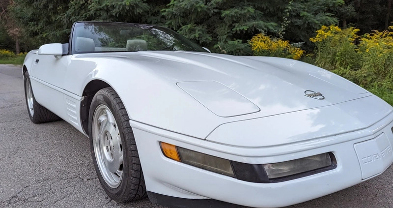 Chevrolet Corvette cena 68000 przebieg: 194000, rok produkcji 1993 z Chrzanów małe 704